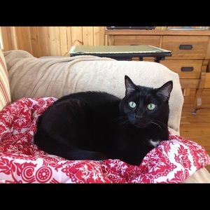 Meet your Posher, Susan